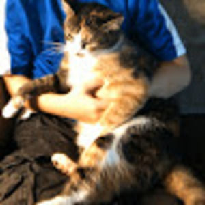 Meet your Posher, Wayne